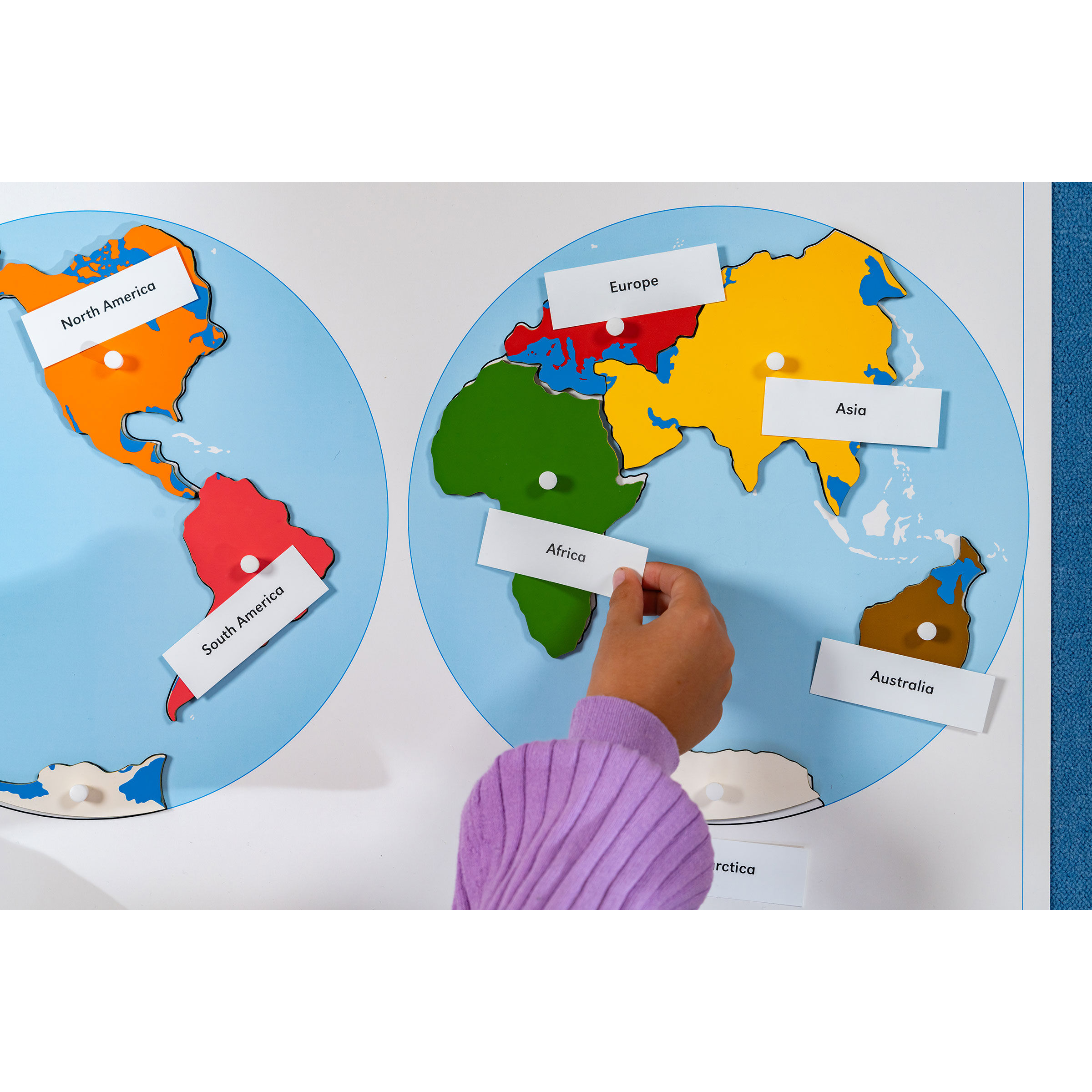 Puzzle Map: World Parts | Nienhuis Montessori