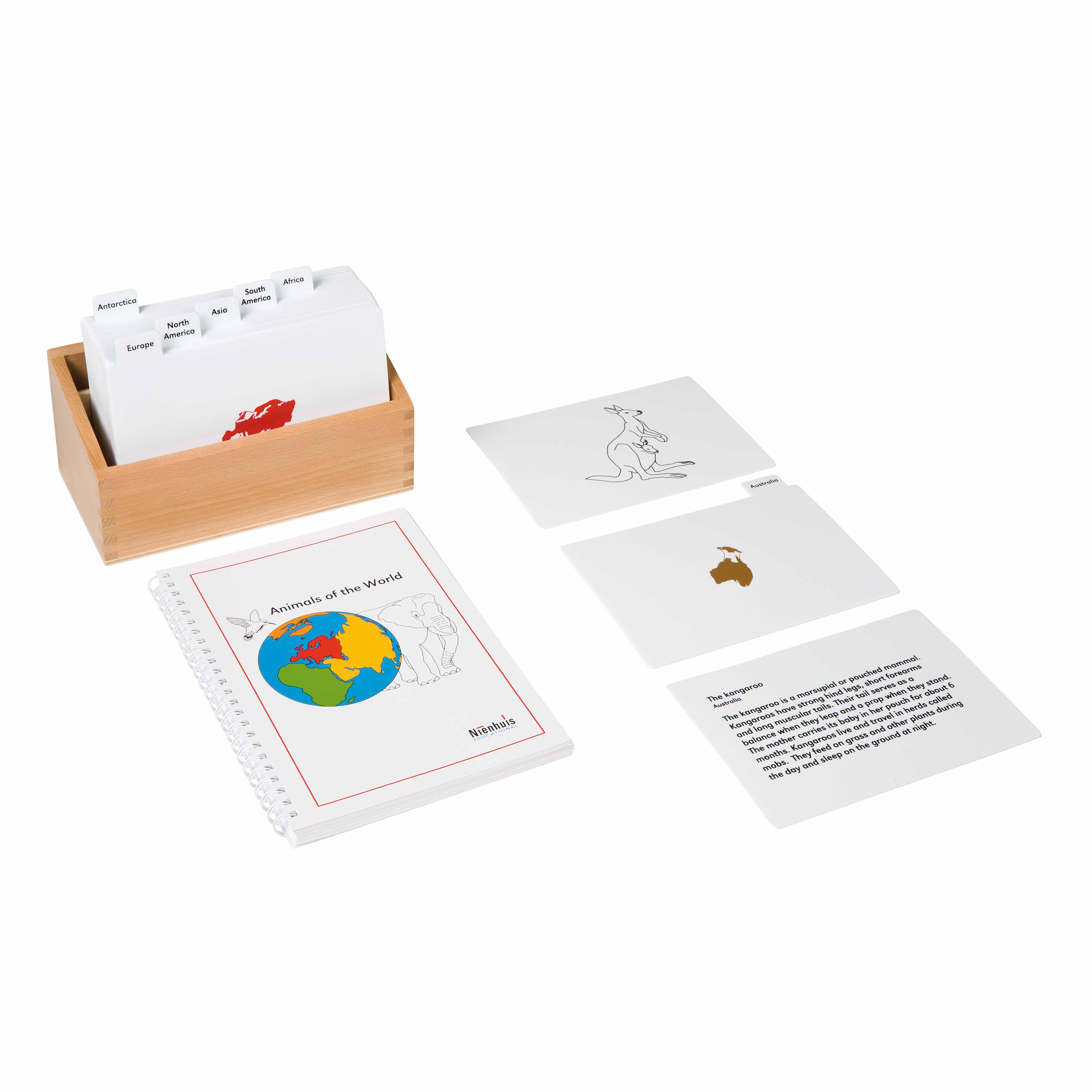 Animals Of The World | Nienhuis Montessori