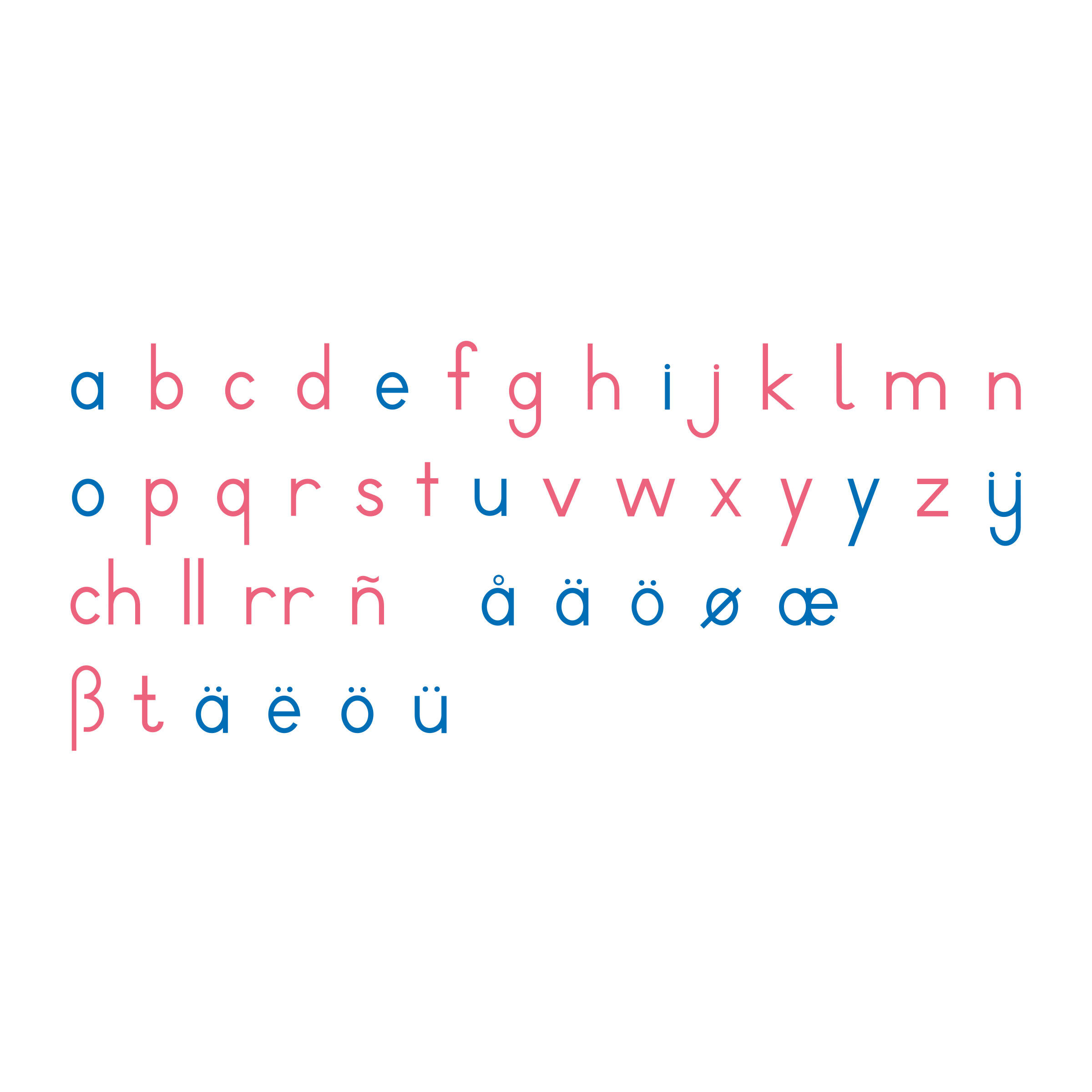 Large Movable Alphabet: International Print | Nienhuis Montessori