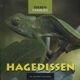 HAGEDISSEN